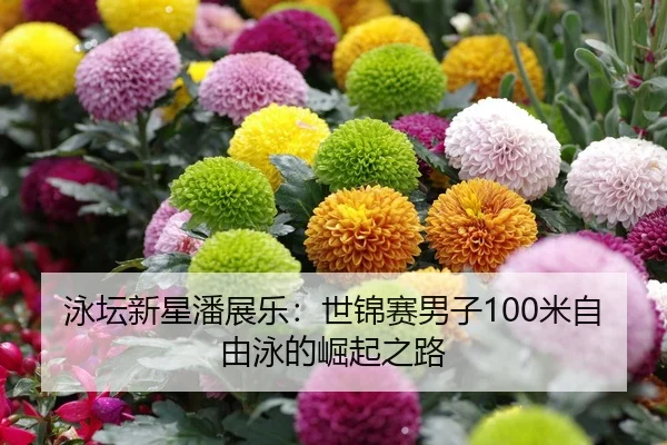yong-tan-xin-xing-pan-zhan-le-shi-jin-sai-nan-zi-mi-zi-you-yong-de-jue-qi-zhi-lu-1-511.jpg