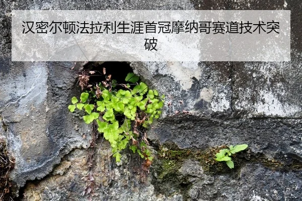 汉密尔顿法拉利生涯首冠摩纳哥赛道技术突破