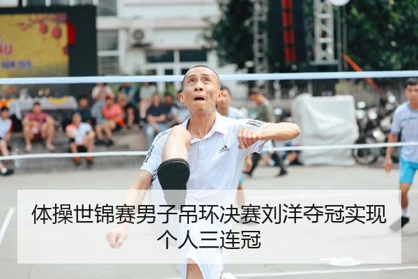 体操世锦赛男子吊环决赛刘洋夺冠实现个人三连冠