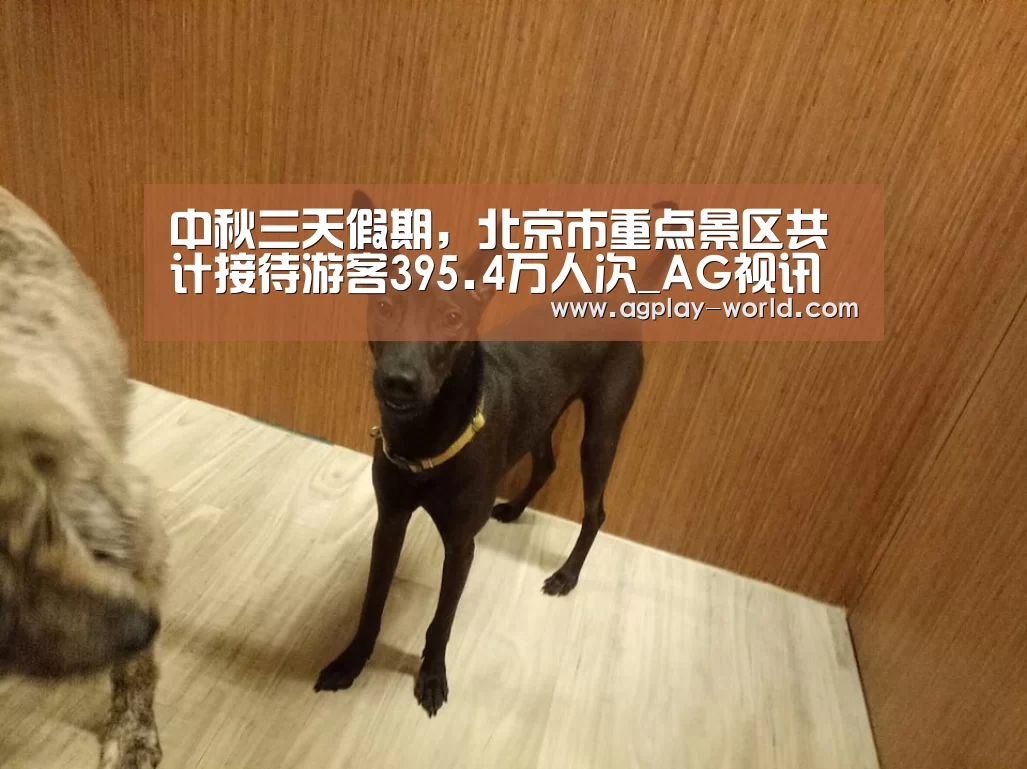 AG地址