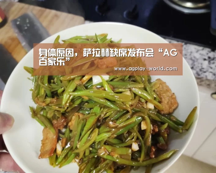 AG百家乐