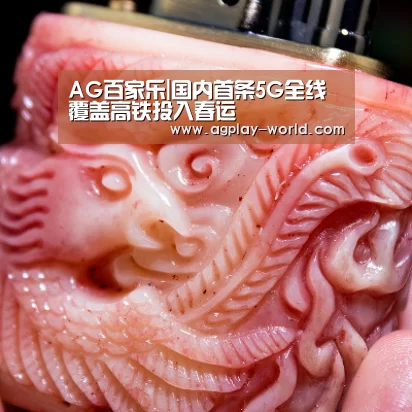 AG百家乐|国内首条5G全线覆盖高铁投入春运(图1) AG地址