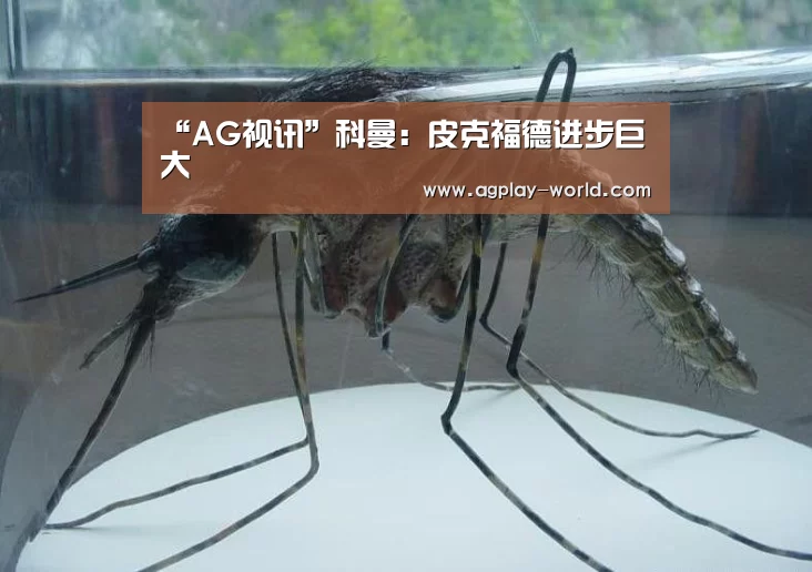 AG视讯
